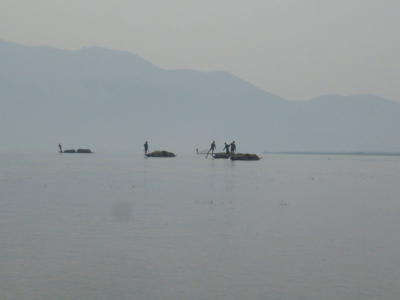 Travel - Myanmar - Inle Lake - Second Boat Trip - Open Lake